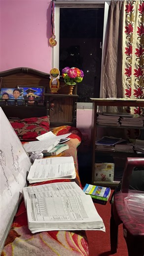 20-Day Math Study Plan for Board Exams