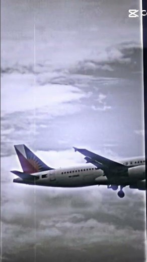 "Next-Gen Aviation: The Future of Flight in 2025. special edit. #aviation #dothingsyoudontwanttodo