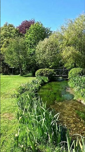 The calmest river in England? 💧 River Itchen 🌊 #tranquil #naturewalk #hampshire