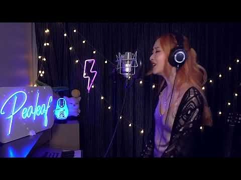 STRANGER THAN HEAVEN - Pealeaf & Chewie Melodies Cover