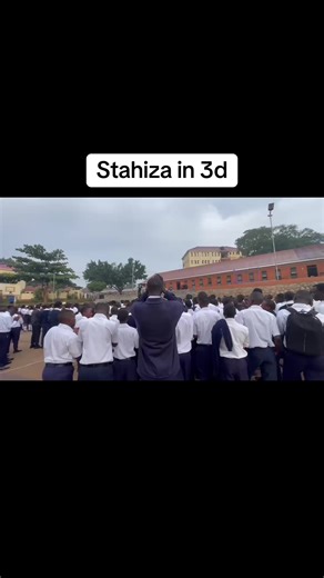 Stahiza in 3D: Exciting Registration Updates