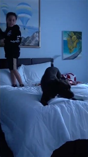 My Dog is possessed 😱 #shorts