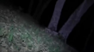 世界各地抓拍到的外星人视频