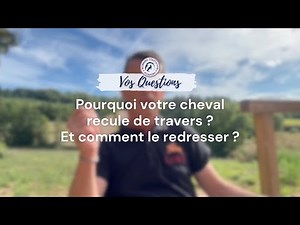 Pourquoi votre cheval recule de travers… même quand vous corrigez avec la jambe ?