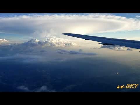 (希少) 異常発達した積乱雲と局所集中豪雨を空から目撃！！ 伊丹空港へのアプローチ中 ANA B767-300 ITM-RW32L