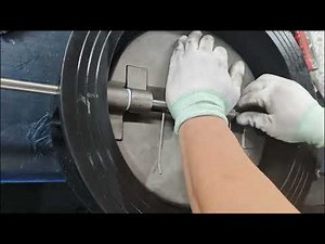 assembly of dual wafer check valve