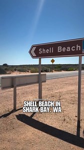 51K views · 758 reactions | Is this the most unique beach you’ve ever seen? ✨ Shell Beach in Shark Bay, WA, is nothing short of magical   credit to: @ovas.adventures #welcometoperth #perth #westernaustralia #bucketlist #explorewa #destinationwa #reels #reelsfb #sharkbay #shellbeach | Welcome to Perth | Facebook