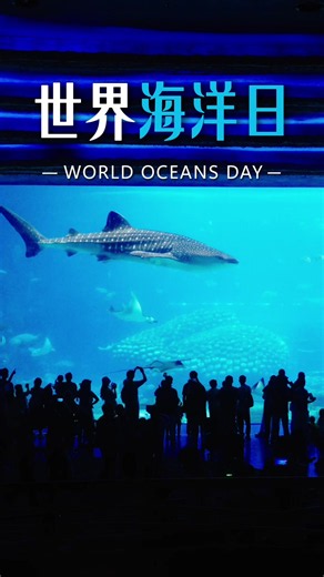 Dive into the beauty of the ocean this World Oceans Day 🌊✨ Chimelong Ocean Kingdom has long been committed to marine conservation and education. Let these views remind you why it’s worth saving.💙 #Chimelong #HengqinChimelongResort #HengqinChimelongOceanKingdom #Marine #ChinaTravel