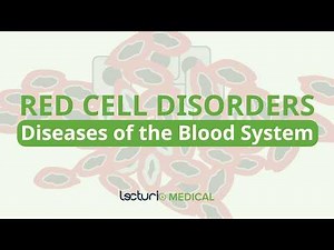 Red Blood Cell Disorders | High-Yield Hematology Review