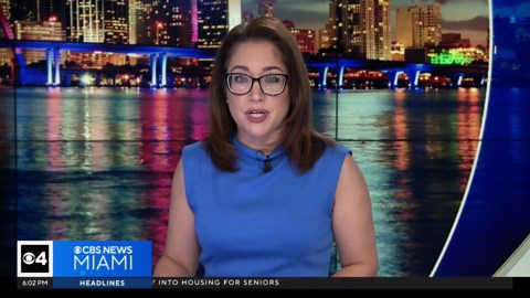 Possible auto insurance fraud case under investigation