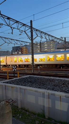 The Laview express train on the Seibu Ikebukuro Line. #japan #railway #trains | Tokyo pearl