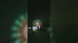 Wedding celebration involving Ferris wheel in Surrey B.C. results in fines and complaints