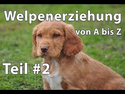 Welpenerziehung von A bis Z...
