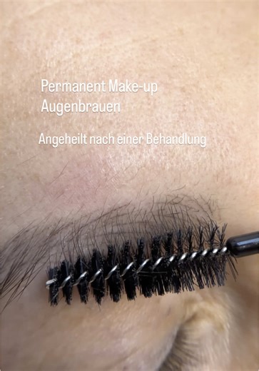 Abgeheiltes Permanent Make-up, nach nur einer Behandlung 😍 #microblading #hairstrokebrows #brows