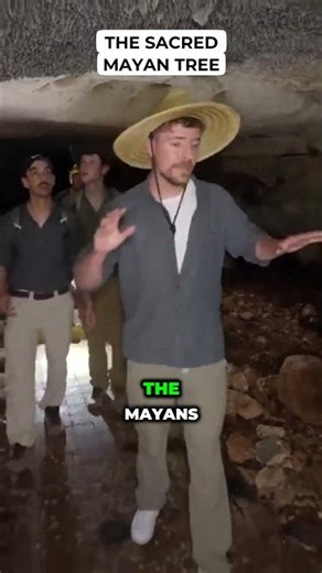 The Sacred Mayan Tree