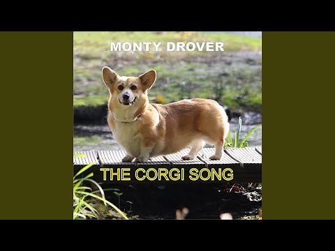 The Corgi Song