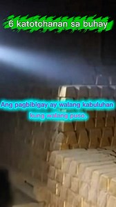 Anim na katotohanan ng buhay #fypシ゚ #gold #nature #history #explore | Mrc Discovery