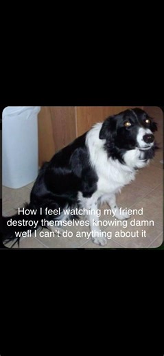 Great way to start a channel lol #vent