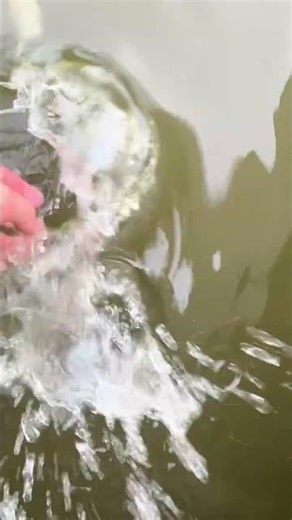 What is the right name for this fish? #shellcracker #bluegill #bluegigi #fishing #panfish #viral