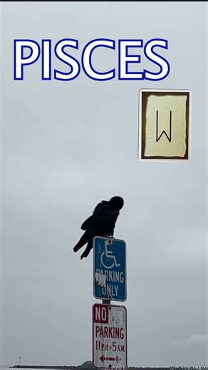 Pisces ♓️ RUNE OF THE DAY: EIHWAZ REVERSED 😮🤔