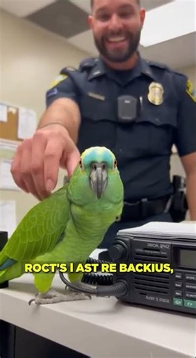 Parrot Reports Police Officer to Dispatch 🦜📻😂
