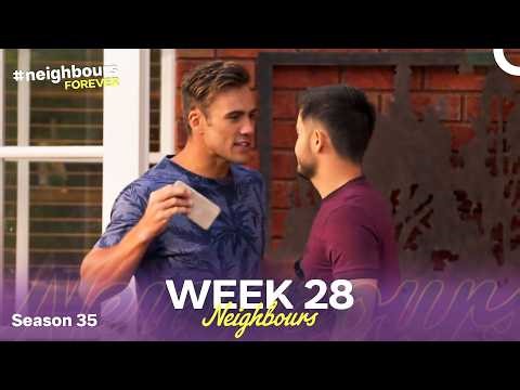 WEEK 28 | Episodes 8141-8145 | Neighbours 2019 (Season 35)