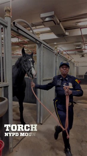 In uniform on the street or investigating crimes, they’re always fighting for justice. The DEA is proud to represent 𝐓𝐡𝐞 𝐆𝐫𝐞𝐚𝐭𝐞𝐬𝐭 𝐃𝐞𝐭𝐞𝐜𝐭𝐢𝐯𝐞𝐬 𝐢𝐧 𝐭𝐡𝐞 𝐖𝐨𝐫𝐥𝐝! | Detectives' Endowment Association