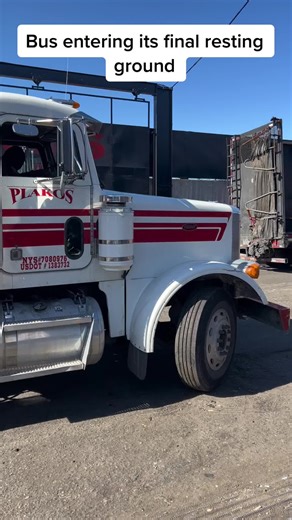 Exploring the School Bus Graveyard: Junk Bus Adventures