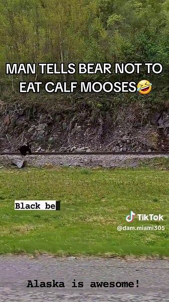 just-random-stuff (@just_random_stuff_305) - #viralvideo #viraltiktok #videoviral #fyp #fyp #fypage #hilarious #hilariouspetstiktoktv #viraltiktok #alaska #alaskalife #wildlife #wildanimals #bear #blackbear #bears #bearsoftiktok #bearweek #moose #mooseedit #natgeo #natgeowild #natgeotiktok #stitch #duet #follow #following #tiktok