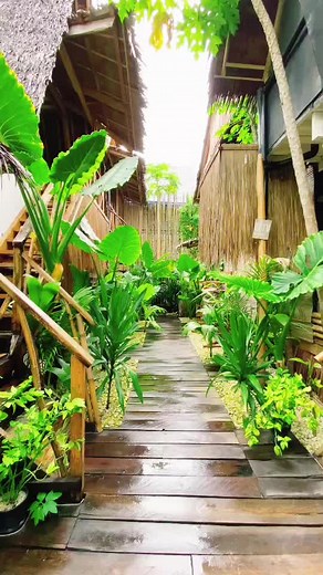 Experience Tarzan's Treehouse in Siargao | Airbnb Done Right