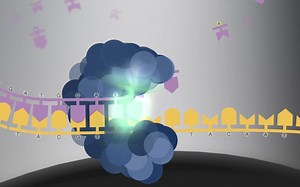 PacBio Sequencing – How it Works