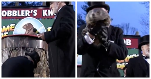 Early Spring Or Not? Here's What The World's Most Famous Groundhog Predicts