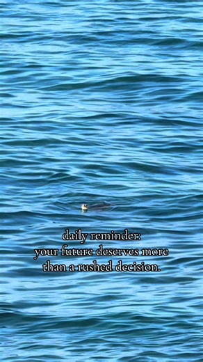 Making Informed College Decisions for Your Future