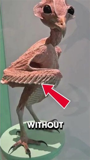 What Do Fluffy Animals Look Like WITHOUT Hair? #facts #wildlife #animals