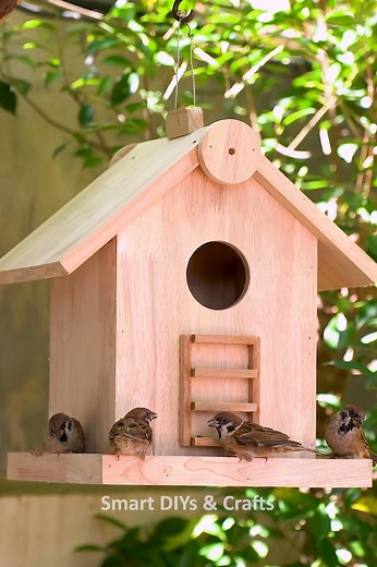 1.6K views · 12 reactions | Transform Wood into a Cute Bird Home & Feeder | Easy DIY Build #DIYBirdHouse #BirdFeeder #Woodworking #DIYProjects #CraftIdeas #BirdLovers #RelaxingDIY #HandmadeDesign #NatureLovers #HomeGarden | Smart DIYs & Crafts | Facebook