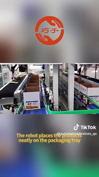 Parallel Robots: The Ultimate Multitaskers for Packaging