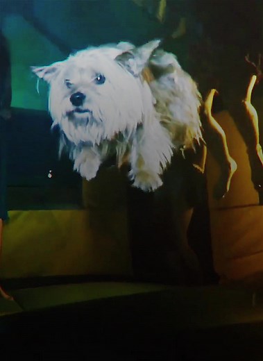 Thomas Cubs Birthday Celebration at Project X