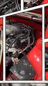 Russo Performance on Reels