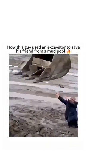 The Brainrot Community | One of the most heartwarming and surprising fun facts about **friends** is that strong friendships can literally **change how your brain... | Instagram