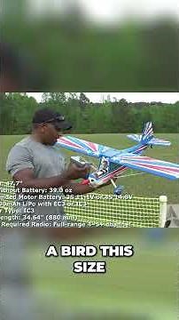 E-Flite Decathlon: Unboxing, Setup, and First Flight! Will It Fly?