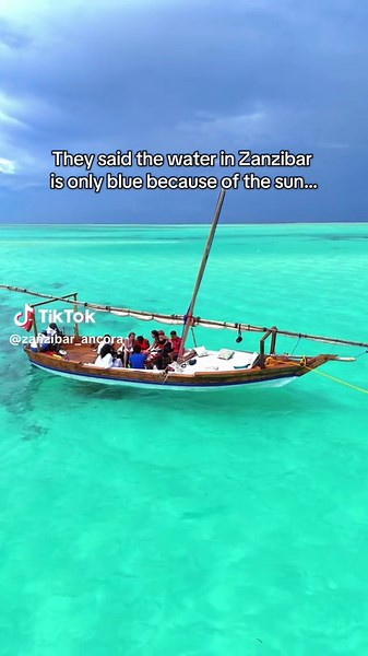 Exploring the Natural Beauty of Zanzibar