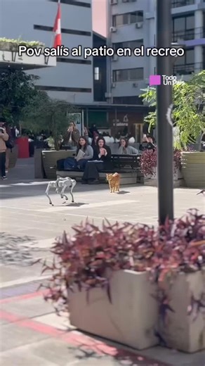 442K views · 7.6K reactions | 烙 Un gato y un perro robot se cruzaron...