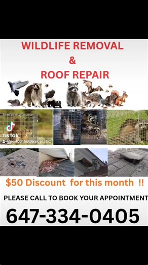 #sunnymalton #woodbridge #orangevilleontario #hamilton #etobicoke