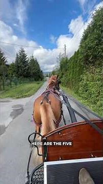 5 Amazing Facts About Poland