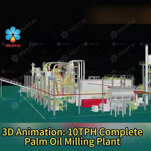 10TPH Palm Oil Production Line 3D Animation | Complete Palm Oil Milling Plant Process
