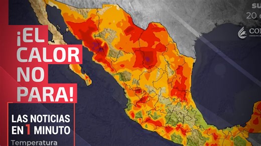 Noticias de hoy 20 de mayo de 2024 de las 14:00 horas - UnoTV