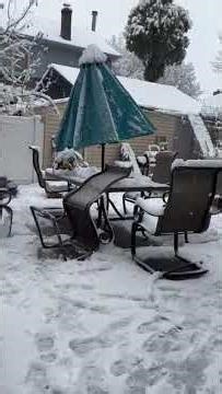 Bronx Snowfall Turns NYC Into a Winter Wonderland ❄️🌨️ Real New York Snow Day #newyork #snow #usa