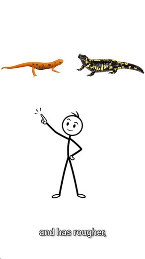 Are Newts Actually Salamanders? (Explained)