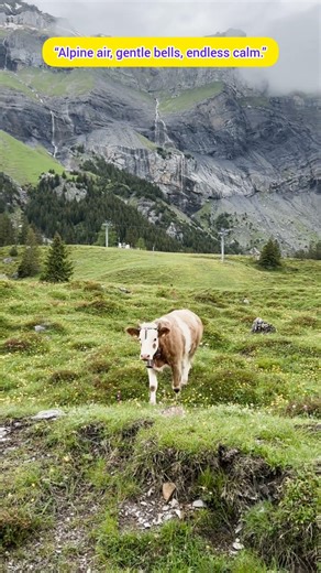 📍Oeschinensee🇨🇭