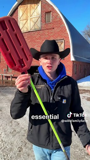 This looks like it’s bad but it’s not! #cows #farmlife | cattle paddle